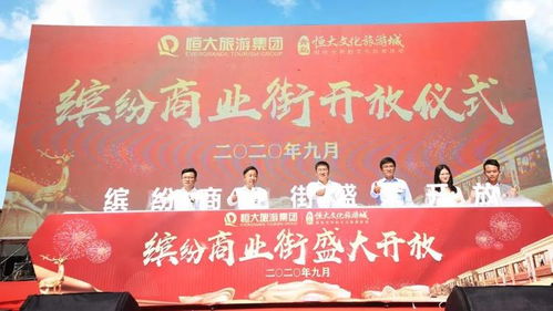 全球车流动态追踪，揭秘平日与假日的繁忙