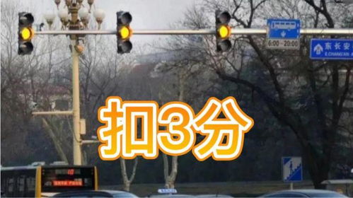 山东汽车闯黄灯罚款标准解析