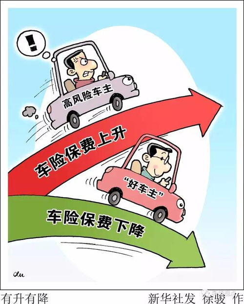 去年的汽车保险费用是多少? 去年的汽车保险费用是多少?