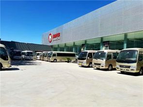 福特汽车夏季改装费用详解