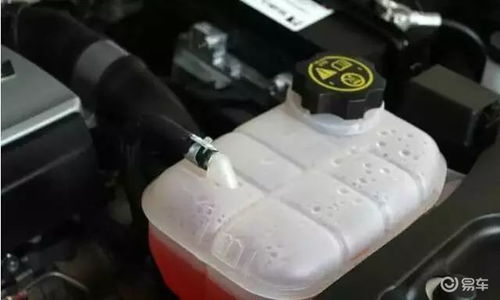 博州汽车冷却液价格解析与选择指南