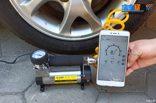 上汽车牌需要多少岁