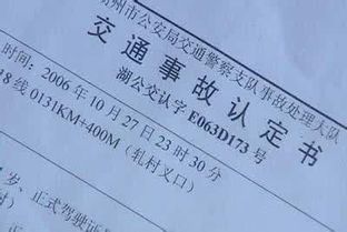 交通事故中的赔偿金额,车主和保险公司的法律考量与实际计算 交通事故中的赔偿金额,车主和保险公司的法律考量与实际计算