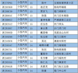 乐清到玉环的汽车票价查询及行程规划指南 乐清到玉环的汽车票价查询及行程规划指南