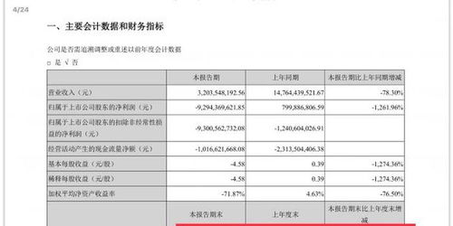 众泰汽车的净资产分析与解读