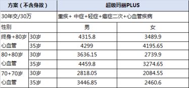 B级汽车保险的保费计算与解读