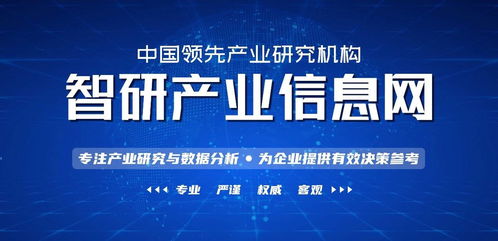 大型折叠电动汽车的市场价值与价格 大型折叠电动汽车的市场价值与价格