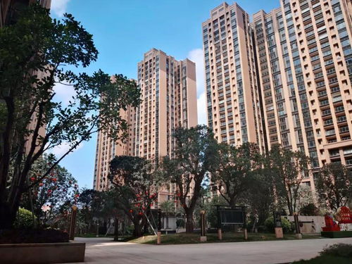 石家庄维修汽车的工资行情分析