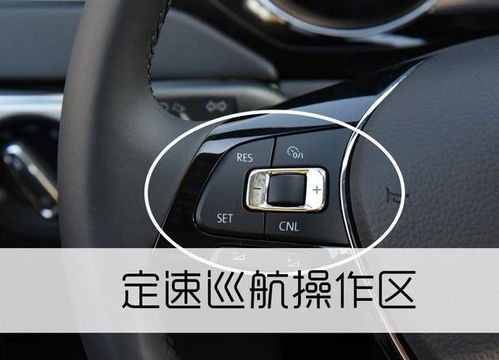 汽车加定速巡航的费用是多少？