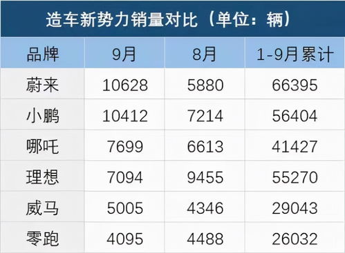 小汽车牌照的种类与数量解析