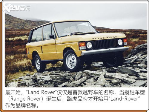 车型与年份