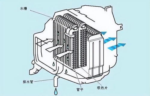 汽车改装吸氧系统的成本与选择