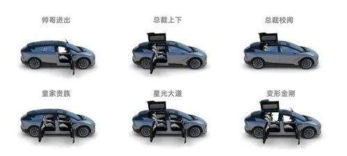 特拉斯汽车电机的马力水平分析