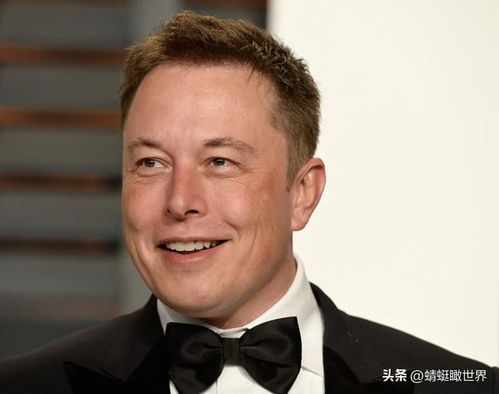马斯克辞职的消息是真的吗？