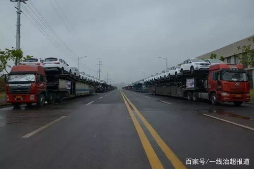 汽车托运动物的价格分析与选购指南 汽车托运动物的价格分析与选购指南