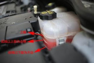 秋季汽车防冻液更换指南 秋季汽车防冻液更换指南