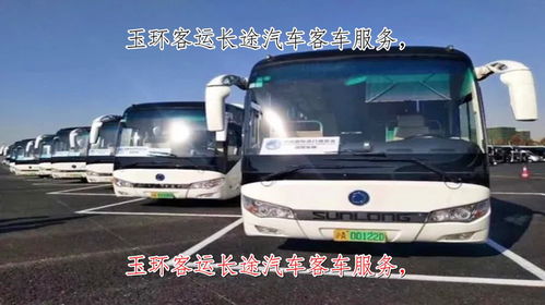 界首到蒙城的汽车时间表