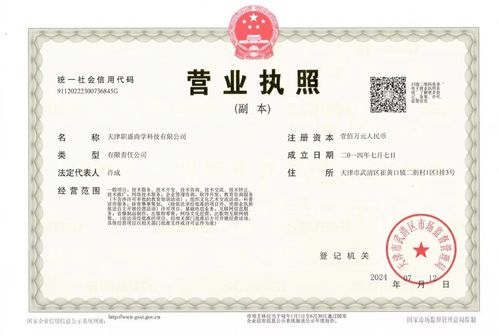 嵩明汽车驾驶执照费用解析,政策与实际价格 嵩明汽车驾驶执照费用解析,政策与实际价格