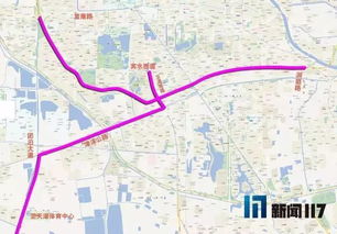 天津市明天的限行规则解析与建议
