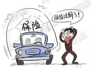 接下来，我们来看一下汽车保险的具体种类及对应的保费
