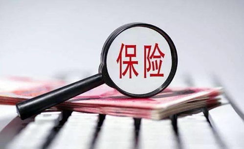 汽车划痕保险费用的详细解读与比较分析