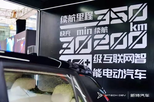 杭州地区的汽车上市公司情况