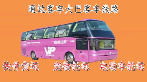 德州回阳谷的汽车长途电话查询指南