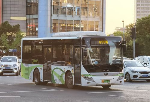 长春55路公交车信息查询
