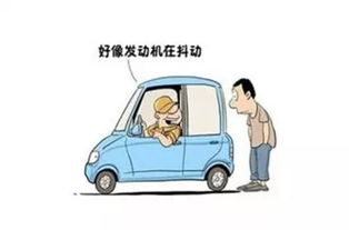 汽车后方的口袋，探索其容量与功能