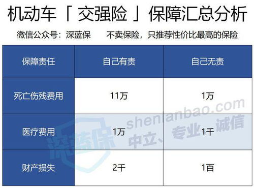 兴化汽车委托过户费用详解，了解如何合理规划