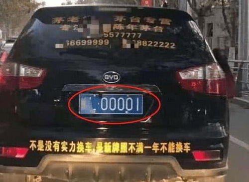 汽车表面可以贴多少文字？
