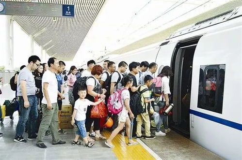 火车站和汽车站在城市交通网络中的重要性及其经济贡献