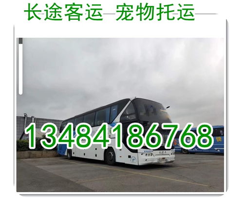 沧州至长垣汽车票价查询