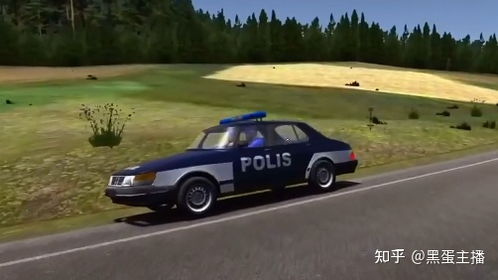 从普通汽车到警车的惊人转变—揭秘价格背后的秘密