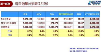 汽车销量的黄金门槛—解读何为可以开的标准