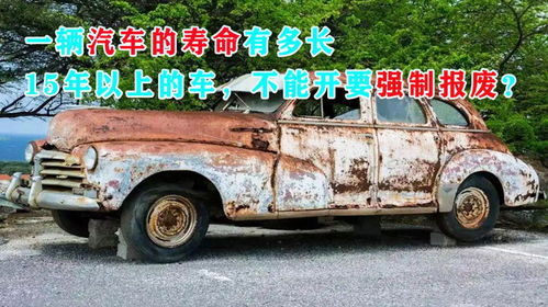 现代汽车的使用寿命与强制报废政策解析
