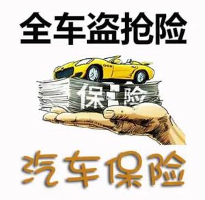 全车盗抢险 全车盗抢险