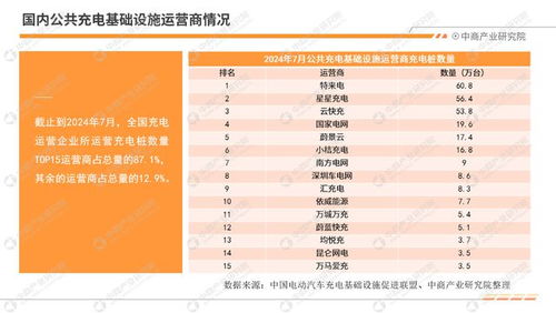 国产汽车的月度财务规划指南