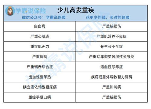 购车与保险，预算规划与选择