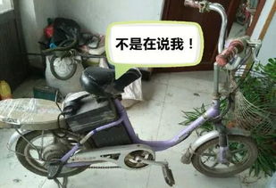 豪华品牌电动汽车滚刷