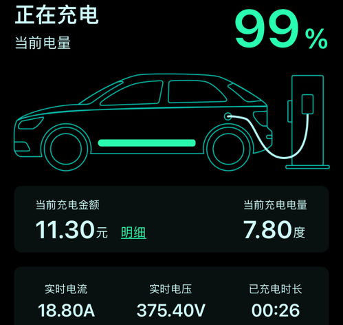 电动汽车的续航能力与电量消耗，探索充电效率和能量储存技术