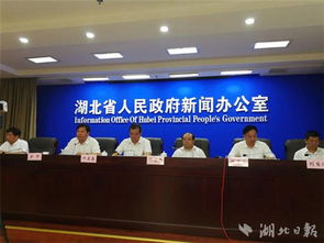 王崧任中共河南省委常委，推动河南高质量发展的新篇章