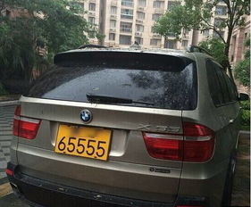 全国有多少辆翼豹汽车？