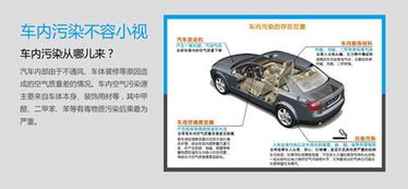 汽车尾气与香烟危害对比分析