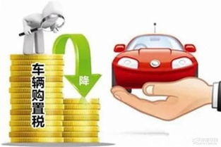 汽车购置税国家补贴政策解析及实际影响分析