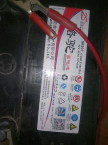 西安汽车充电机的价格行情分析