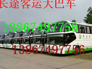 乐山至越西汽车票价多少？