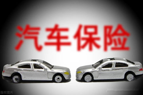 汽车只交三险的钱有多贵？
