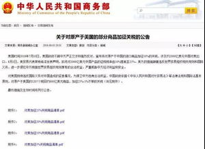 特朗普加征关税对中国的影响与应对策略