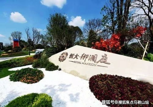 张家口领界汽车优惠政策一览
